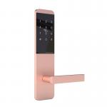 TTM727  TThotel / TTLOCK App Smart password door Locks
