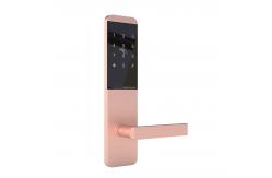 China TTM727  TThotel / TTLOCK App Smart password door Locks supplier