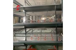 China 2.2m Layer Battery Cage System For Capacity 120-200 Chickens Adela supplier