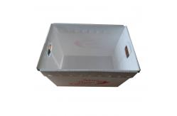 China Durable PP Corrugated Plastic Box Mail Tote Lightweight Customized supplier
