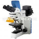 Laboratory APO Fluorescence Microscope with Digital Head , 5.0M Camera A16.0909 for sale