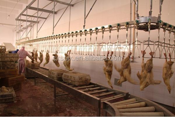 Automatic Poultry Processing Equipment With Long Life Superior Performance