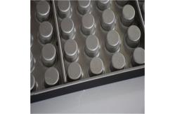China RK Bakeware China Foodservice 2.5 Inch Nonstick Mini Hamburger Bun Tray supplier