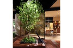 China Tourists Attrations Artificial Banyan Trees Large Artificial Ficus Lyrata Silk Tree Ficus Elastica supplier