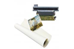 China Large Format Printing Cotton Canvas Waterproof For Latex Printing supplier