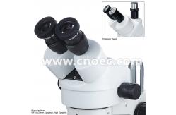 China White Learning Stereo Binocular Microscope High Eyepoint A23.0901-BL1 supplier