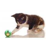 Lightweight Cute Pet Toys Abs Ball Diameter 44mm Four Kinds Of Sounds For Adjustment for sale