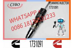China Diesel Fuel Pump Unit Injector Assembly 1731091 579253 579264 1846351 Engine Parts supplier