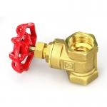 Europe Standard Metal Gate Valve DN15 DN20 DN30 DN40 Water Control Valve