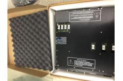 China Triconex 3664 DIGITAL OUTPUT MODULE 24 VDC OPTO-ISOLATED in stock now supplier