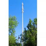 Steel 80 Meter Monopole Antenna Tower Wifi Telecommunication for sale