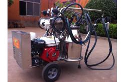 China Portable Food Grade SS Mobile Milking Machine With Gasoline Engine supplier