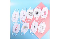 China Anti Dust Adjustable Reusable Face mask with Silk screen printing supplier