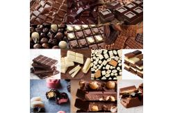 China Tabletop manual chocolate tempering moulding machine tabletop Chocolate Enrober supplier