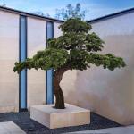 Customized Large Artificial Pine Tree Branches Decoration Fiberglass