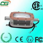 3000lm ATEX 30W LED Explosion Proof Light 120V AC 78Ra For Underground Mines for sale