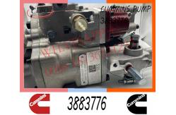 China Cummins  NT855 M11 Diesel Engine Fuel Injection Pump 3883776 4951390 supplier