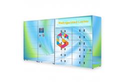 China Cold Food Delivery Refrigerated Electronic Locker With Remote Control 240V supplier