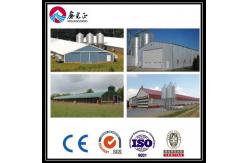 China Customized Automatic Broiler Floor Feeding Line System With Steel Structure Chicken House supplier