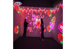 China Holographic Immersive Interactive Projection For  Immersive Wedding Event Halls supplier