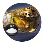 Fast-Acting Oil Absorbent Polymer with Water Separation Function | Polyacrylic Acid Sodium for sale