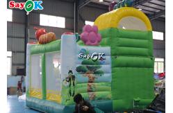 China Insect Print Themed Inflatable Bounce Trampoline House With Slide supplier