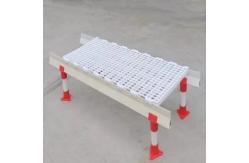 China Durable Chicken Duckling Poultry Slat Flooring supplier