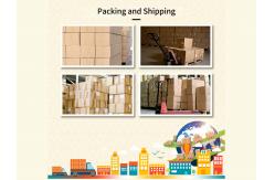 China Dual Light Switch manufacturer