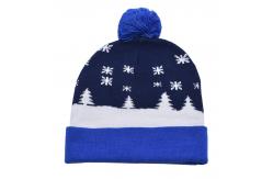 China Custom Wool Merino Knit Beanie Hats Casual Occasion For Adults supplier