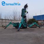 Electric and Diesel Power Source Spider Crane with Telescopic Boom Reach for sale