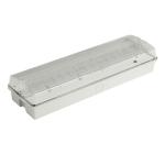 Professional Custom Surface Wall Mounted Waterproof Emergency Light for sale