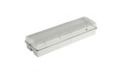 China Professional Custom Surface Wall Mounted Waterproof Emergency Light supplier