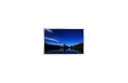 China LT044MDW7000 WLED LCD Screen Display 4.5 inch LCD panel supplier