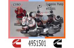 China Diesel Engine Parts Fuel Injection Pump 4951501 3042115 4061206 For Cummins NT855 supplier