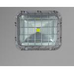 High Lumen 90lm/W Explosion Proof Lamp 30W-70W