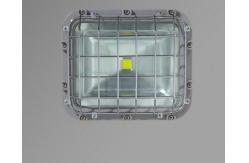 China High Lumen 90lm/W Explosion Proof Lamp 30W-70W supplier