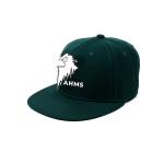Customized Dark Green Hip Hop Snapback Hats Flat Brim 100% Cotton for sale
