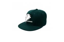 China High quality Custom Made eagle printing Logo Printed Hip Hop Snapback Hats Caps supplier
