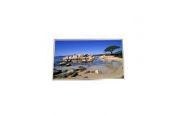 China Supplying G101EAN02.4 10.1 inch transmissive LCD black Panel supplier
