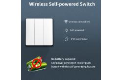 China Wall Light Self Powered Wireless Switch Outdoor Waterproof Push Button Switch supplier