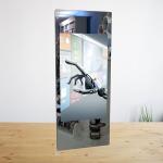ODM 55 Inch Alu Alloy Silver Retail Magic Mirror For Clothing Shop for sale