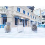 Factoty Customized Metal Lid Glass Bottle 10ml Shaker With Condiment for sale
