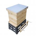 Apiculture 8 frame 10 frame Bee Hive Holder for sale