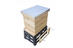 China Apiculture 8 frame 10 frame Bee Hive Holder supplier