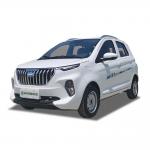 Raysince factory hot sales model 5 door electric car adult vehicle 4 Seats electric vehicles for sale for sale