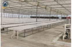 China NFT Hydroponic Pipe And Pipeline System For Efficient Vegetable Cultivation supplier