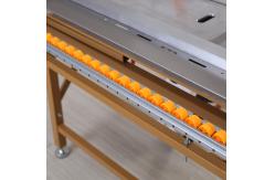China 120*100cm Lightweight Portable Sliding Table Saw With Vacuum Cleaner supplier