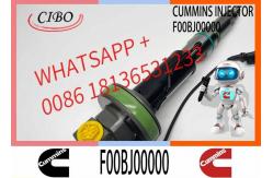 China COMMON RAIL FUEL INJECTOR 2867147 F00BJ00001 F00BJ00000 0986435900 supplier