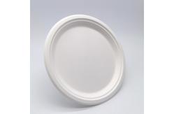 China 6 Inch Biodegradable Bagasse Tableware supplier