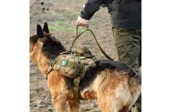 China Adjust Explosion Proof Flexible Dual Handle Dog Leash Nylon Tactical Dog Rope supplier